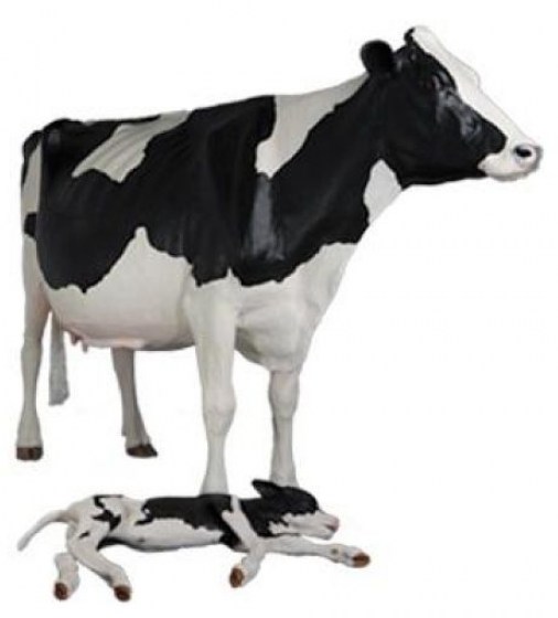 Hol&scaron;t&yacute;nsk&aacute; kr&aacute;v&aacute;